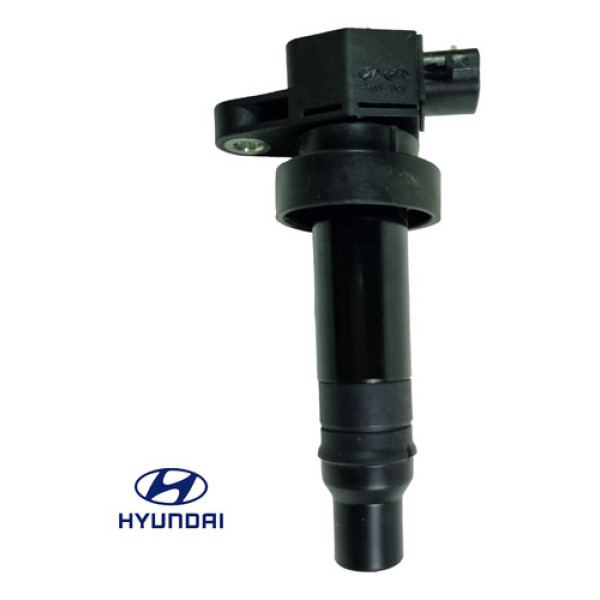 Bobina Hyundai Hb20 1.6 16v 2013 A 2019 Pn: 273012b010