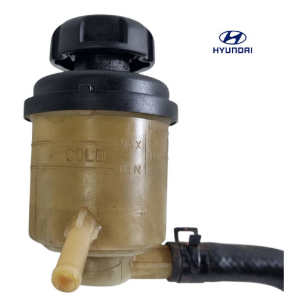 Reservatório Óleo Direção Hidráulica Hyundai Hb20 13/19 Orig